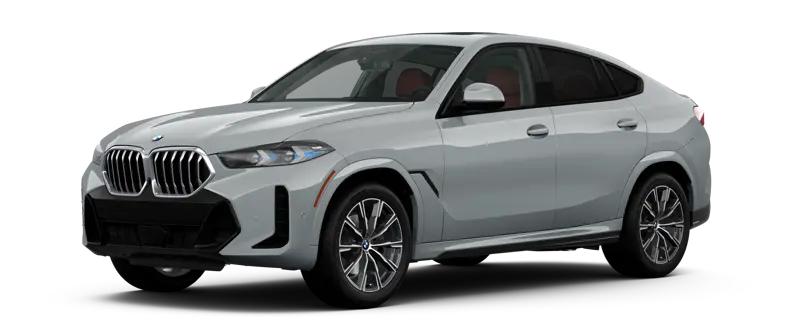 2026 BMW X6 jellybean image